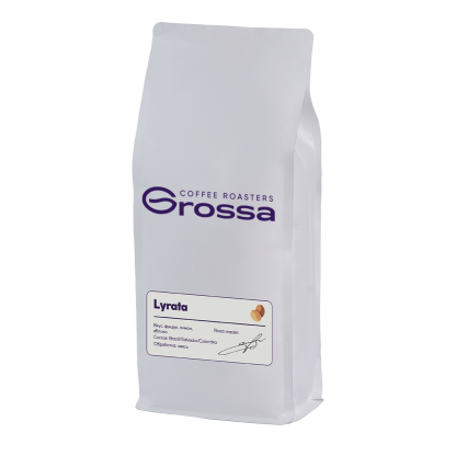 Grossa Lyrata
