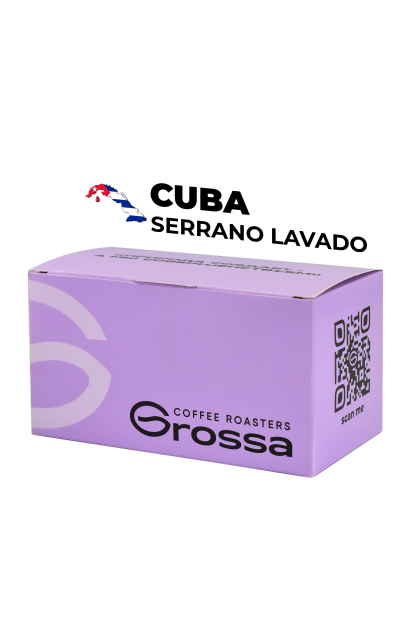 Cuba Serrano Lavado
