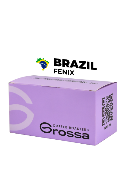 Brazil Fenix