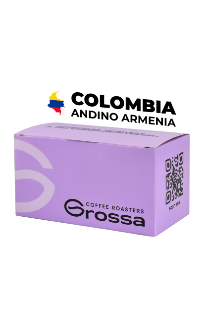 Colombia Andino Armenia