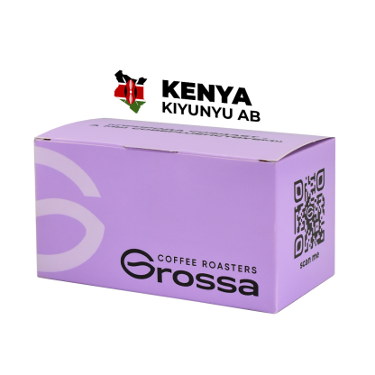 Kenya Kiyunyu AB 
