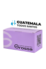 Guatemala Todos Santos 