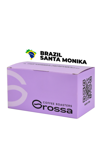 Brazil Santa Monika