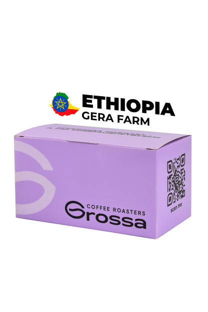 Ethiopia Gera Farm 